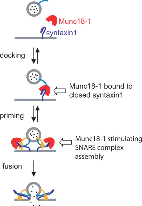 Figure 9.