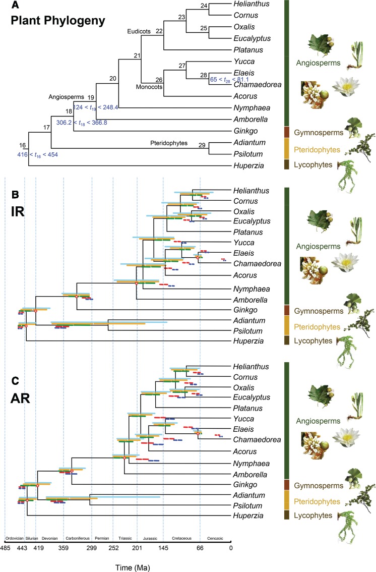 Figure 4.