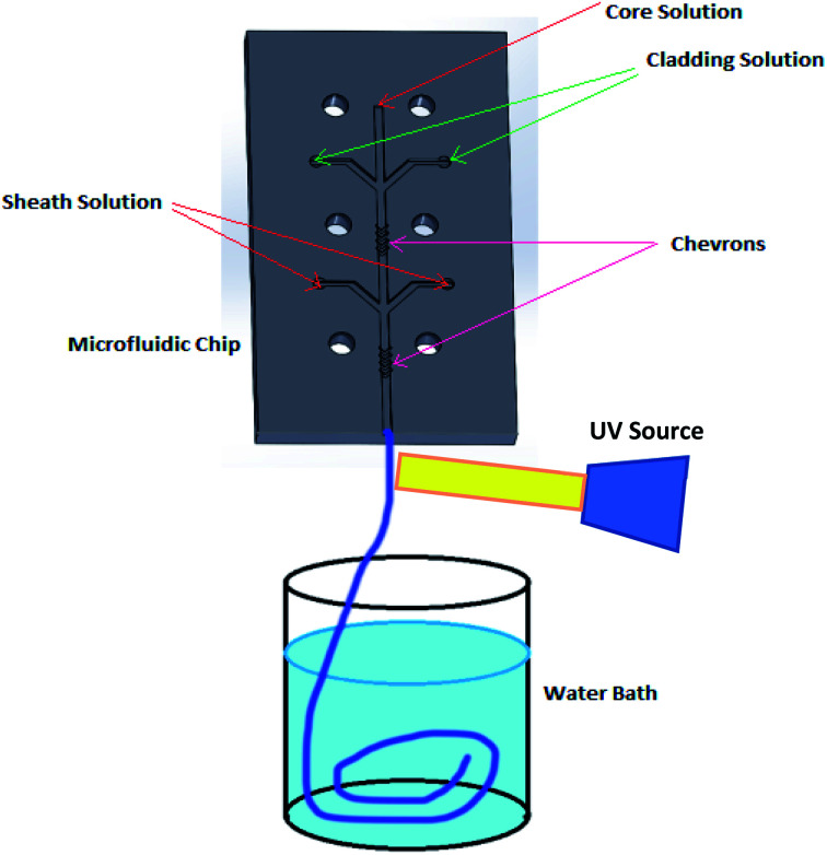 Fig. 1