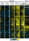 FIG. 2.