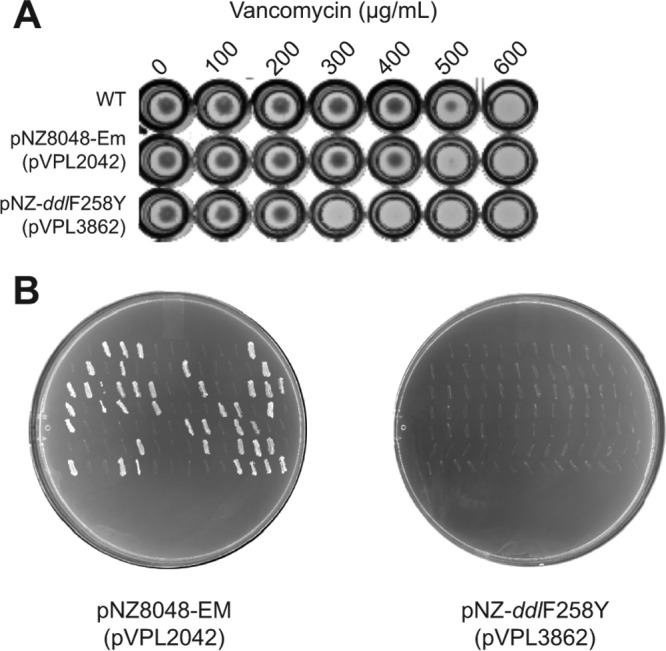 FIG 1