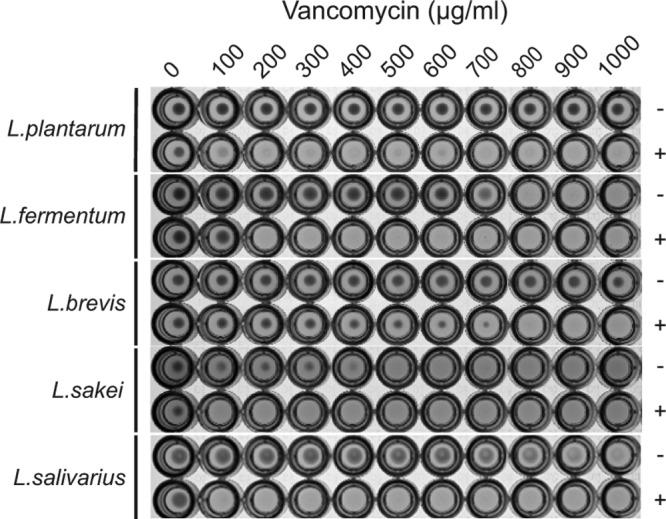 FIG 2