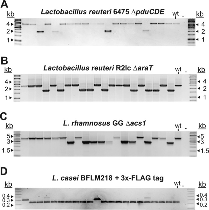 FIG 4