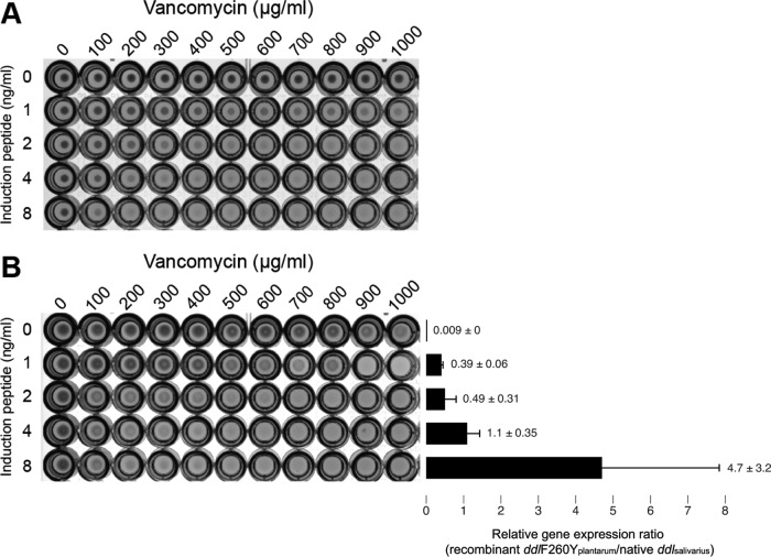 FIG 3