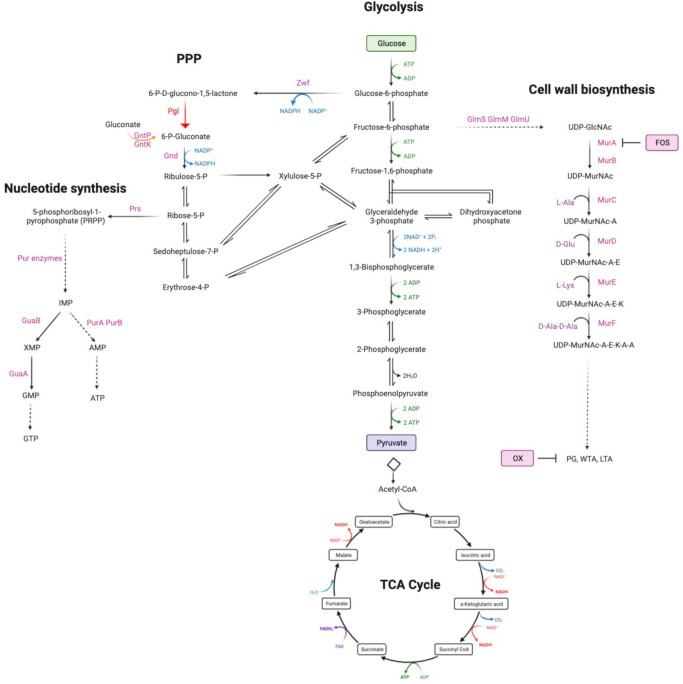 Fig 1