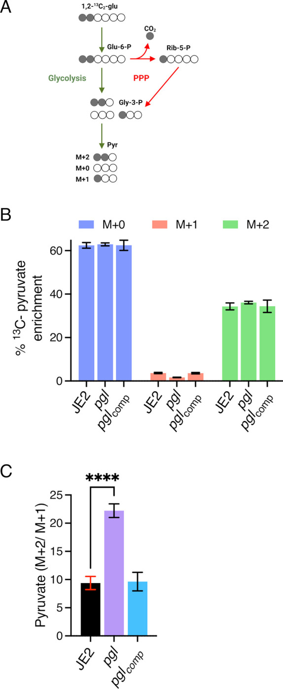 Fig 4