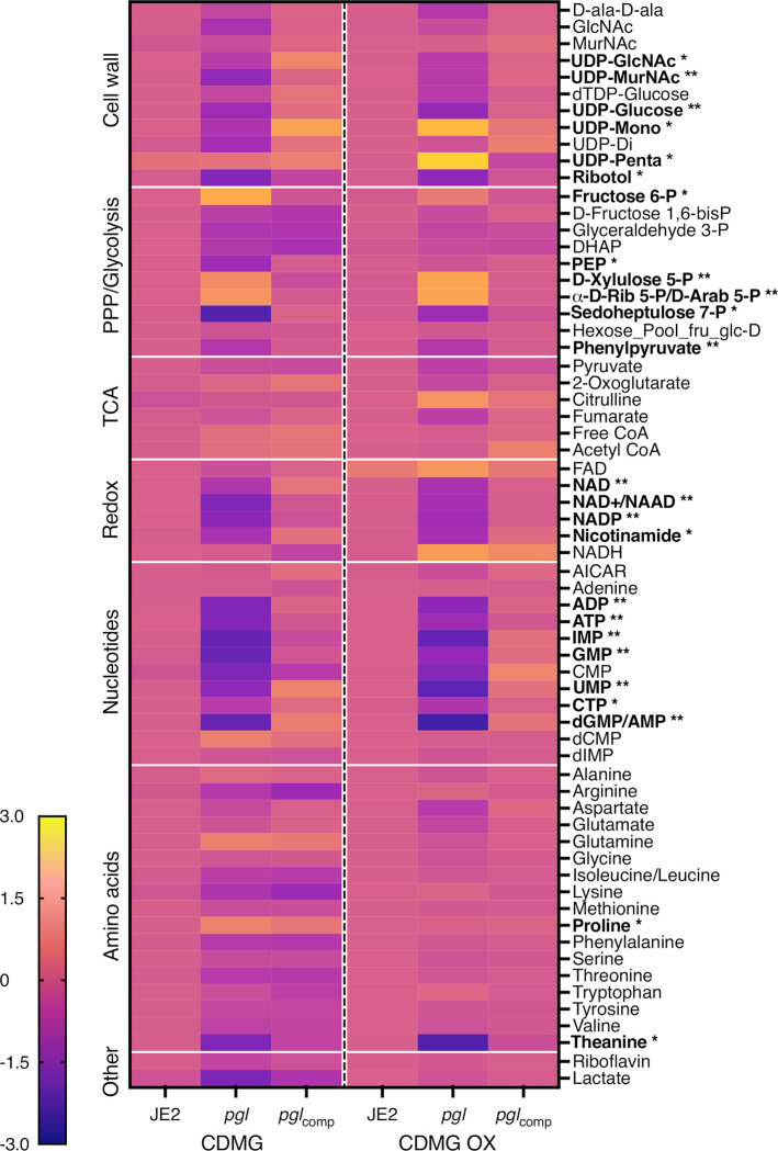 Fig 5