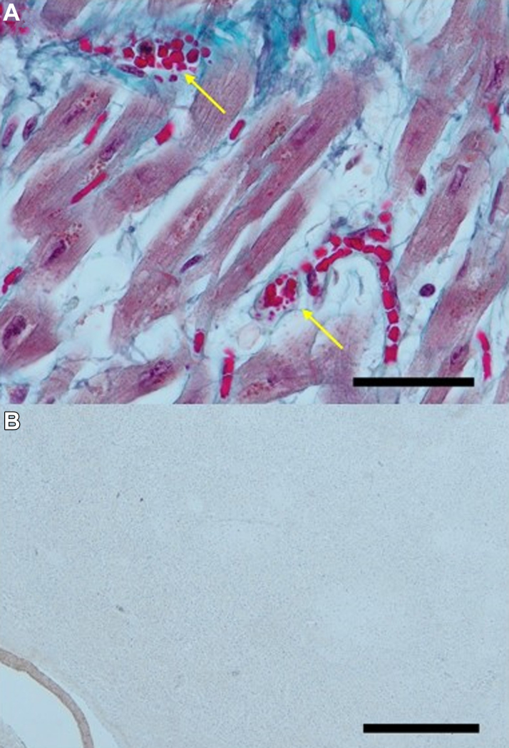 Figure 5