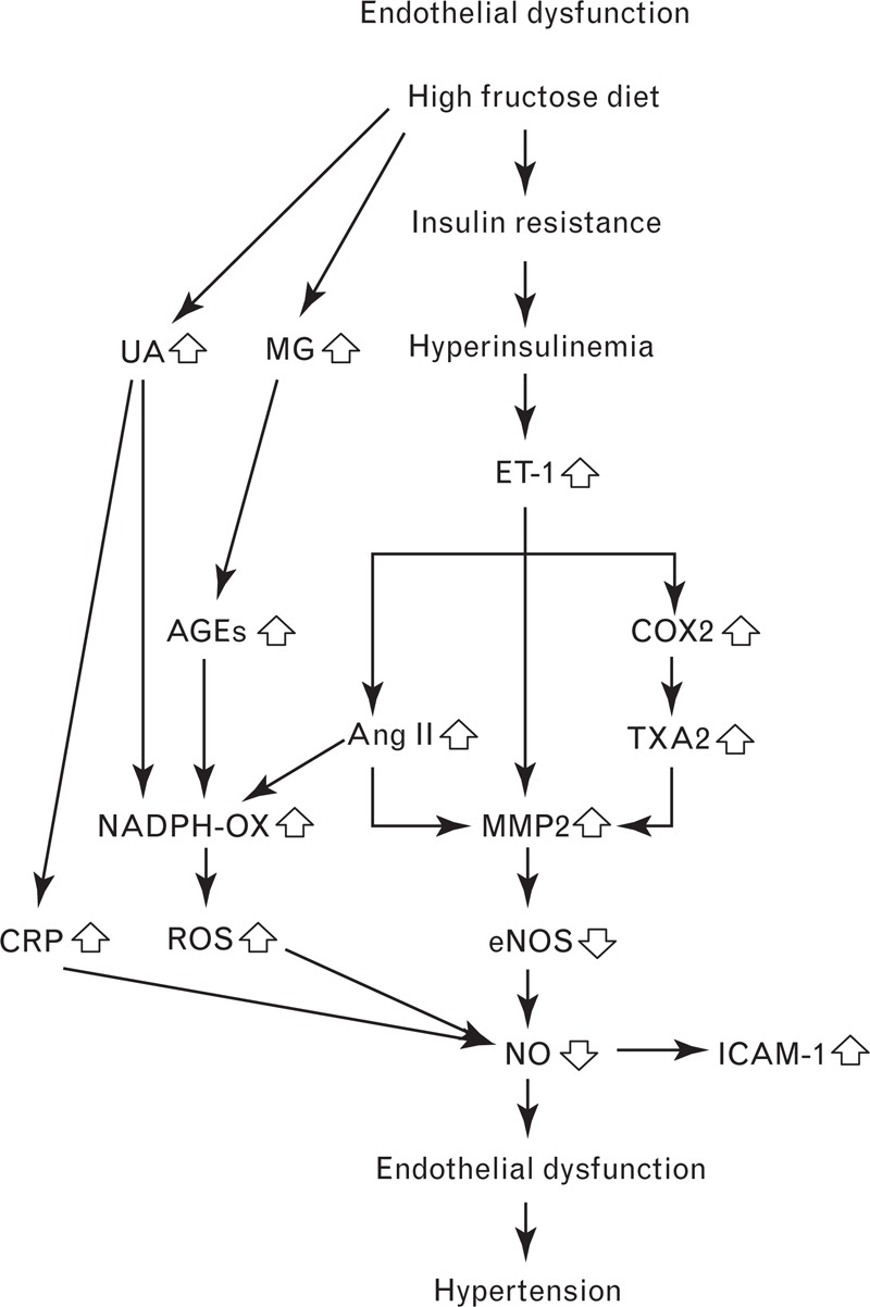 FIGURE 2