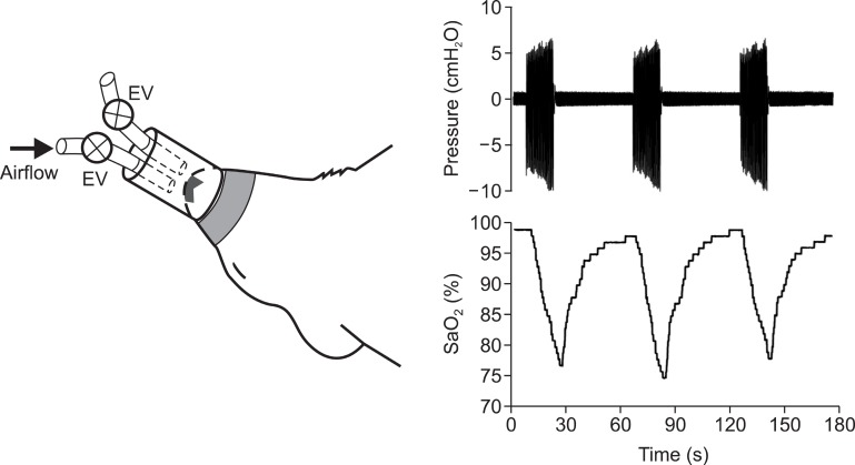 Fig. 2.