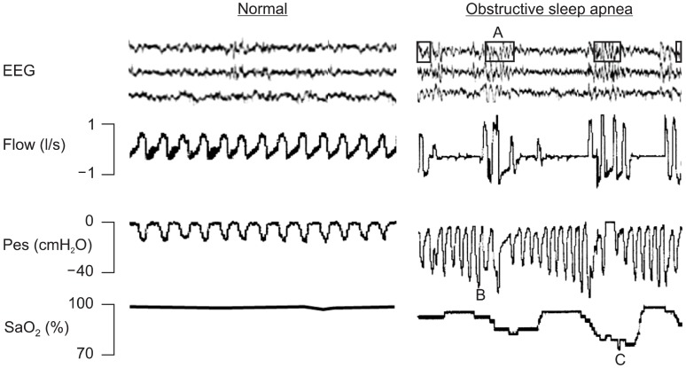 Fig. 1.