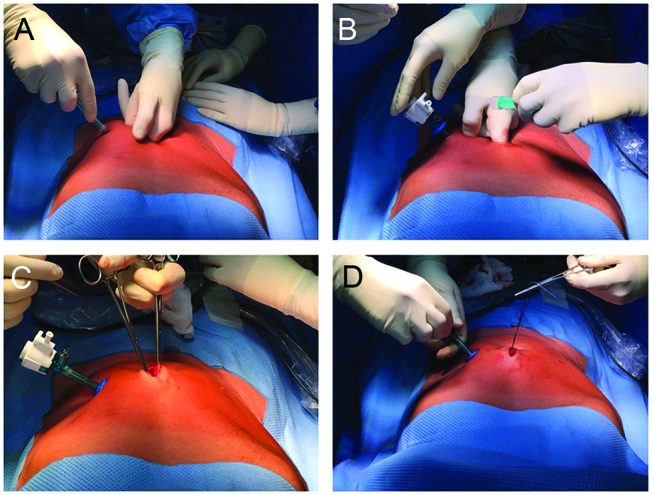 Figure 2: