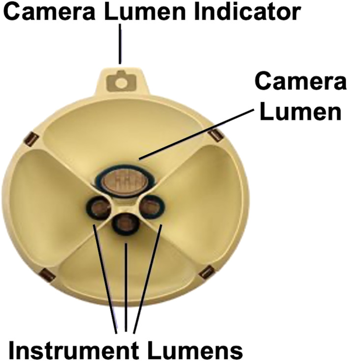 FIGURE 4