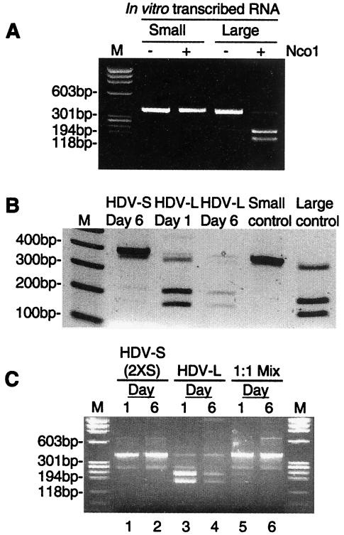 FIG. 5.