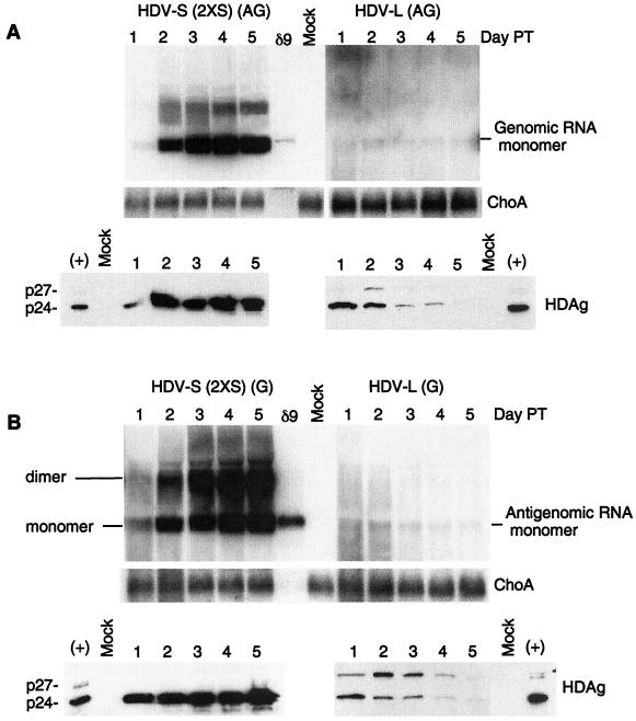 FIG. 3.