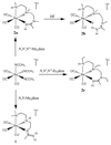 Scheme 1