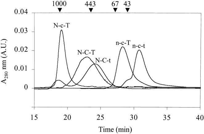 Fig. 3.