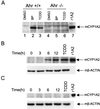 FIG. 6
