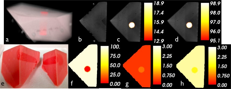 Fig. 8