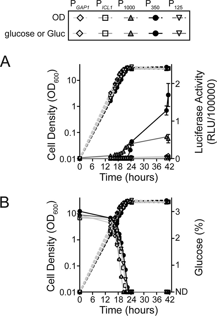 FIG 3