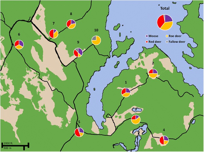 Fig. 2