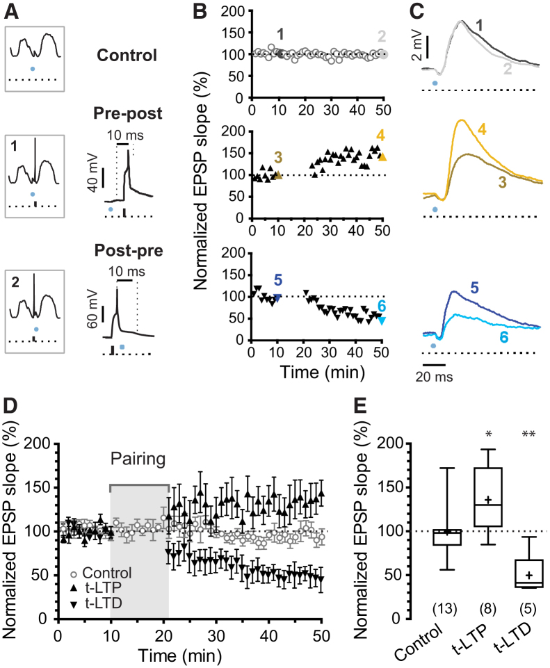 Figure 2