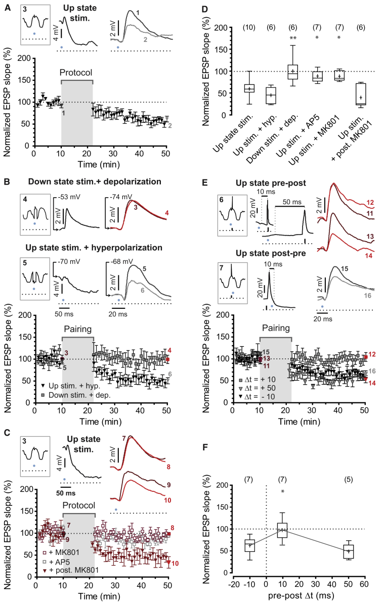 Figure 3