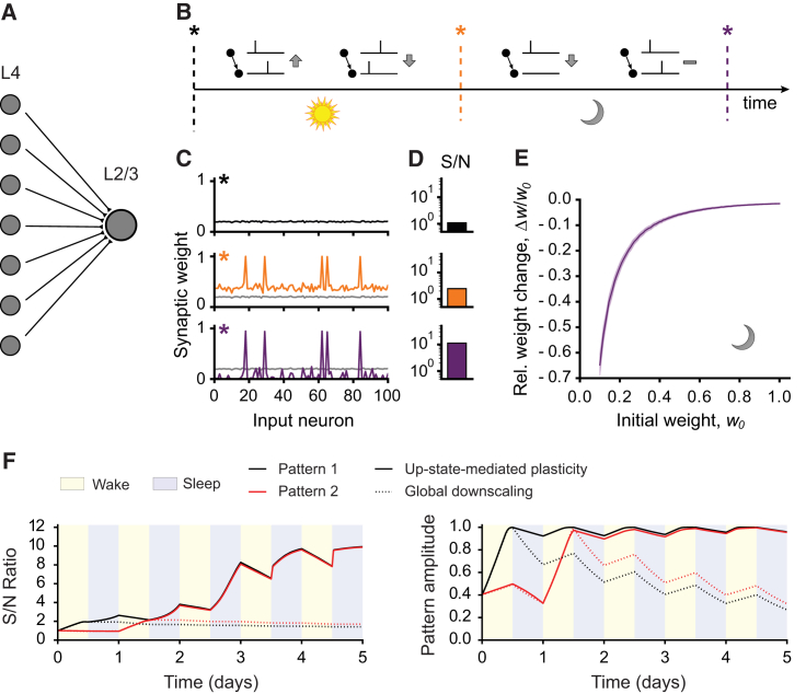 Figure 4