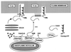 FIG. 10