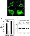 FIG. 7