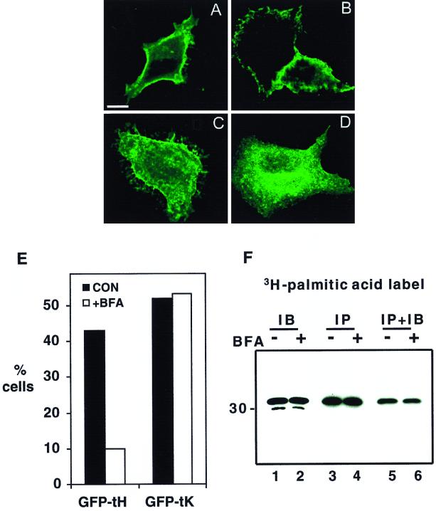 FIG. 7