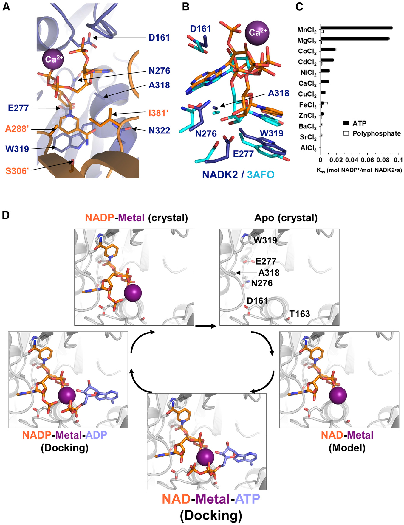 Figure 2.