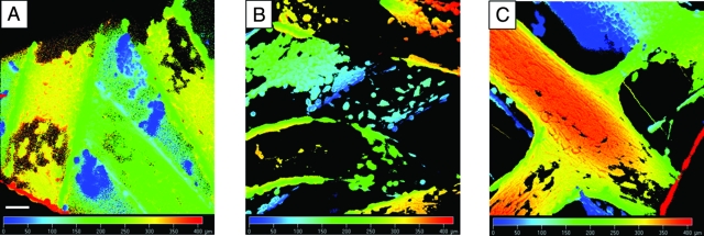 FIG. 11.