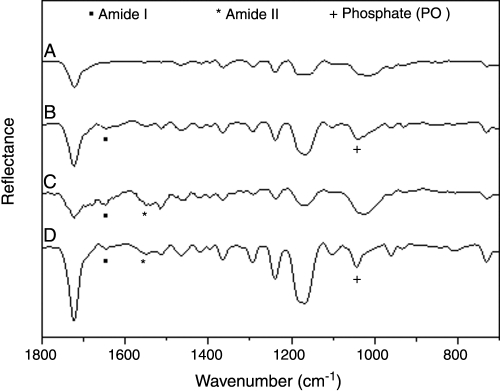 FIG. 12.