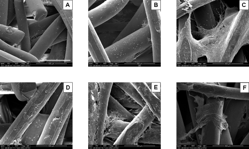 FIG. 7.