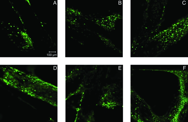 FIG. 10.