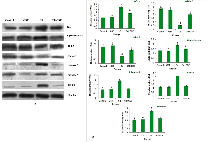 Fig. 13