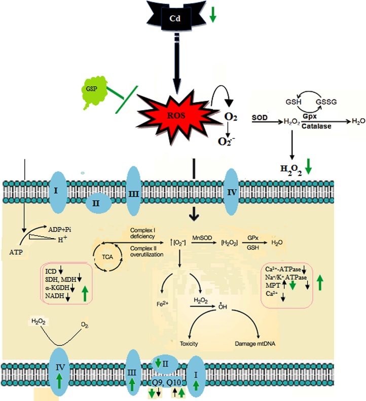 Fig. 16