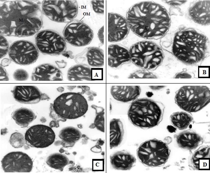 Fig. 15