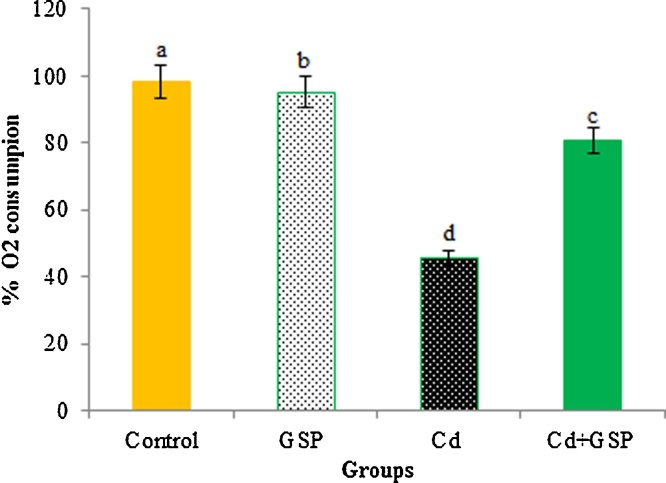 Fig. 10