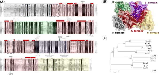 Fig. 1