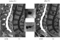 Fig 2.