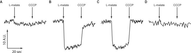 FIG. 3.