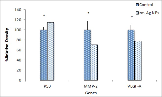 Figure 13