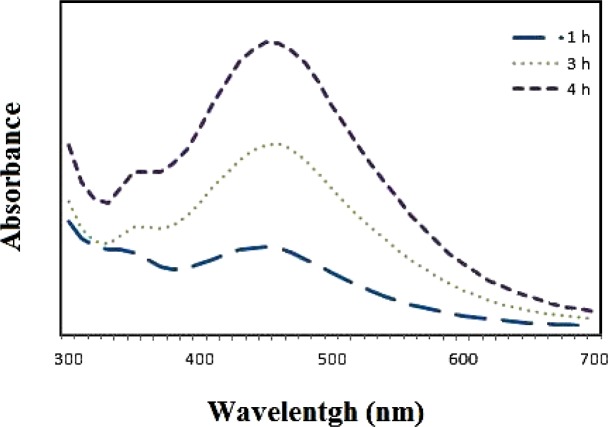 Figure 2B