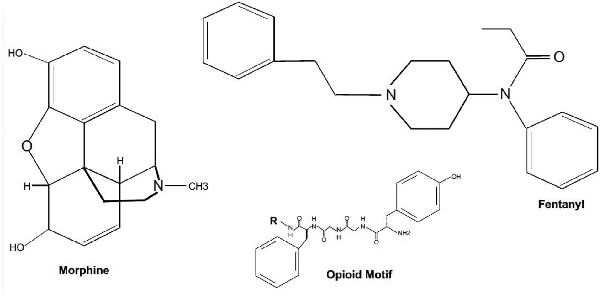 Figure 1: