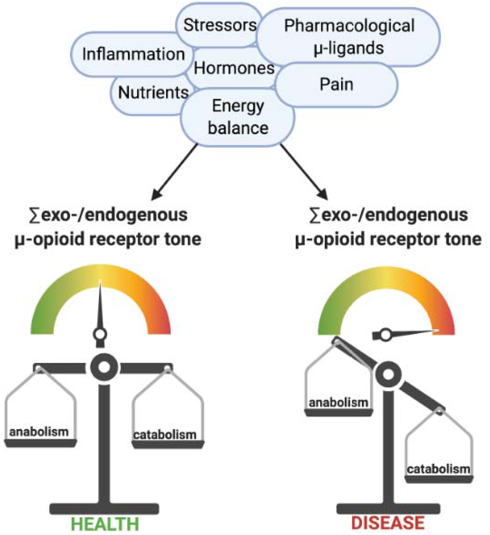 Figure 5: