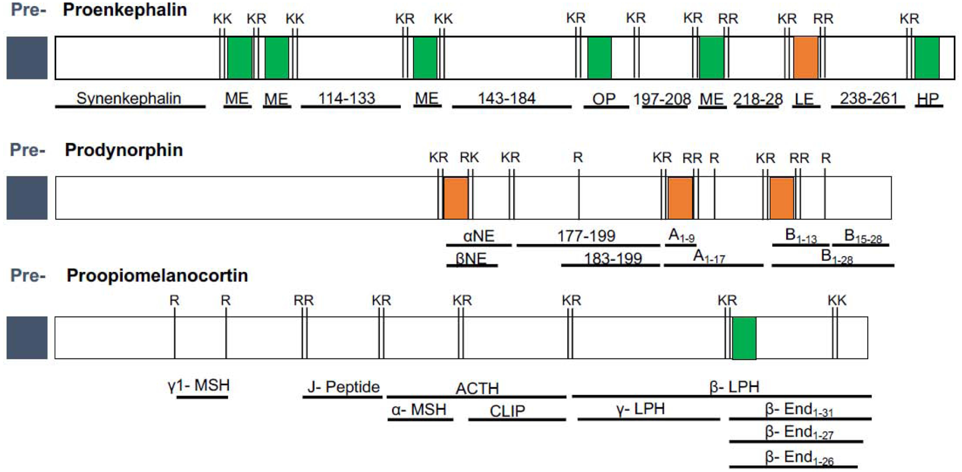 Figure 2: