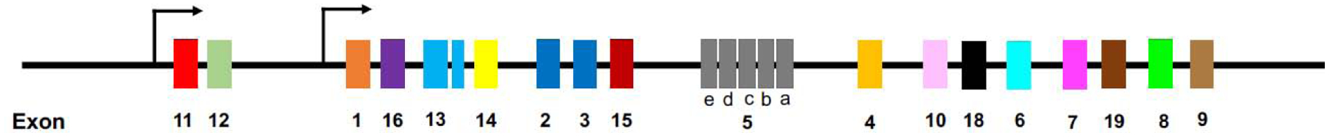 Figure 3: