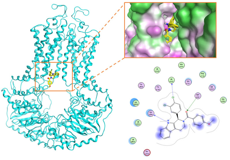 Figure 11